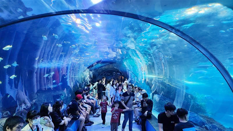 SEA LIFE Busan Aquarium Admission Ticket - Photo 1 of 10